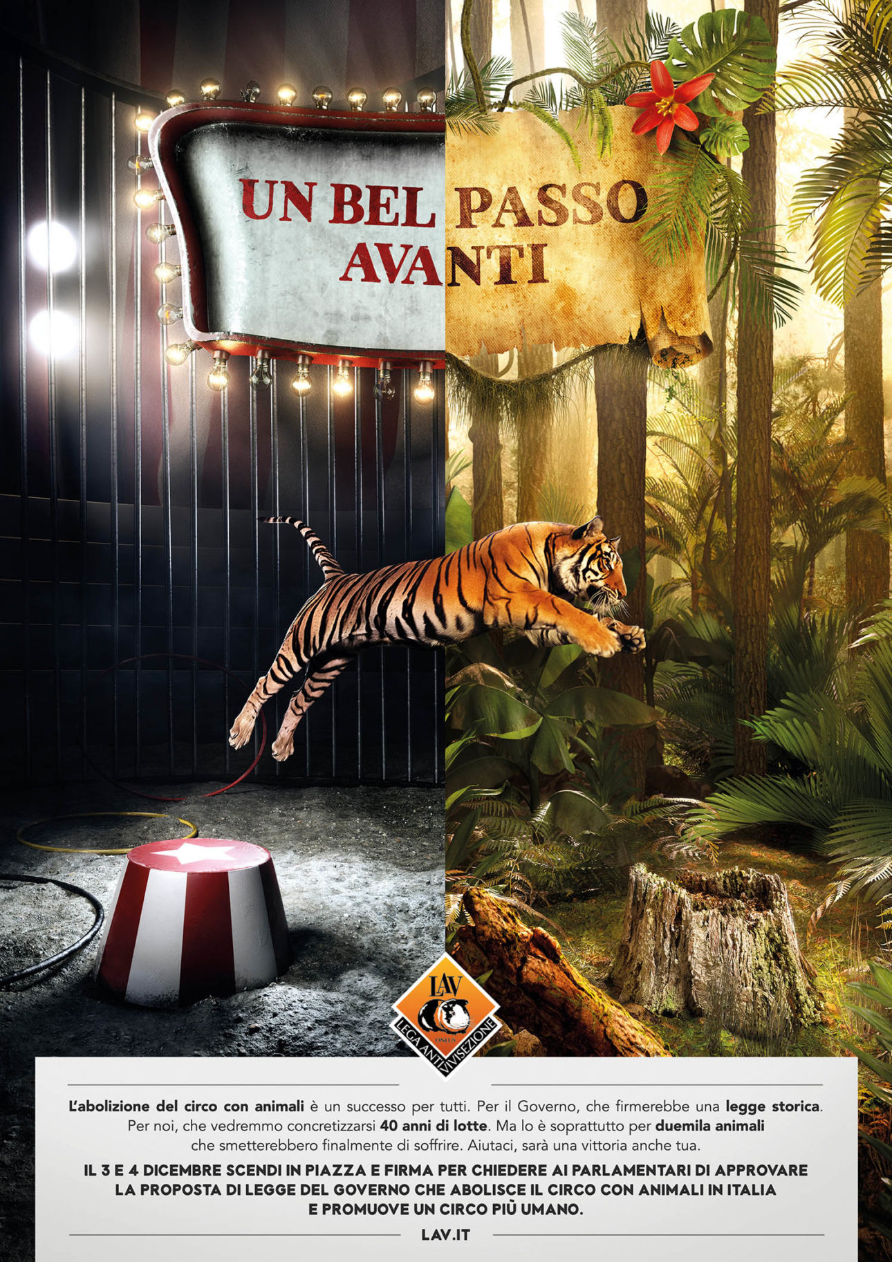 TIGRE