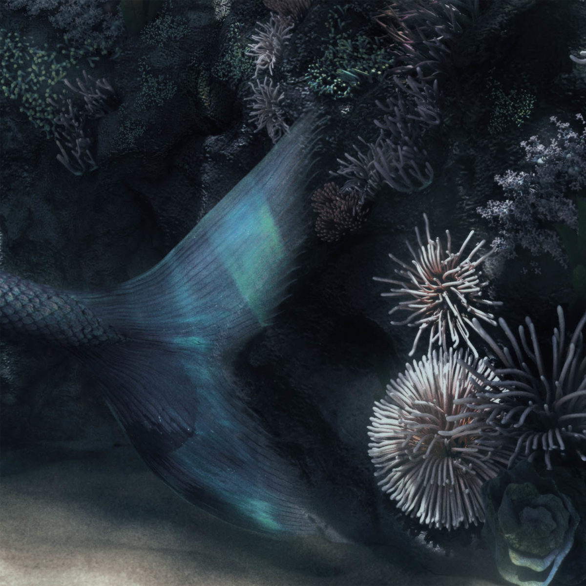 cellularline-crop-2